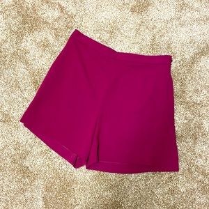Theory Tarrydown Shorts (spring berry/cranberry color)